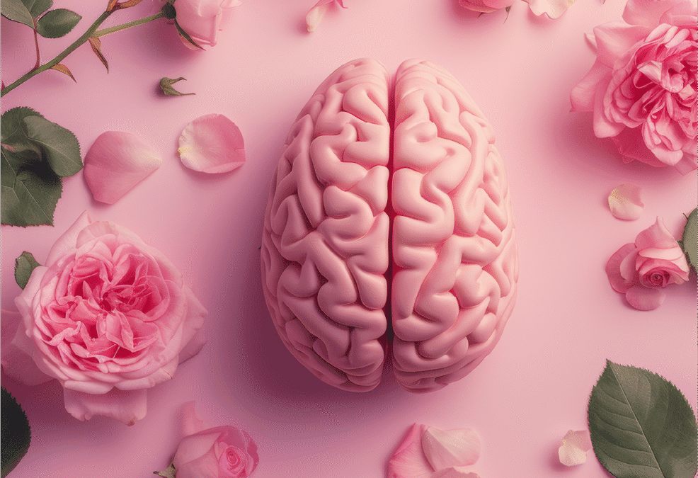Seeing a Psychologist in Benoni – A Step Toward Strength and Healing